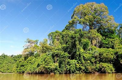 《斗仙界》0.1折手游新體驗(yàn) 爽快世界，代理開發(fā)新機(jī)遇